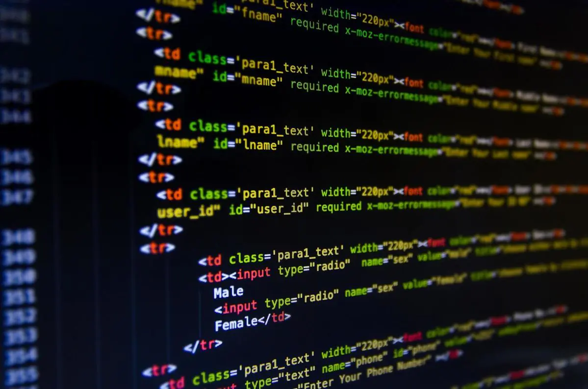 Web Design